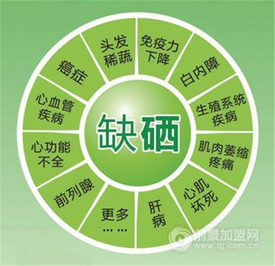 富硒酵母片什么时候吃最好(富硒酵母片的功效和作用)-硒宝网