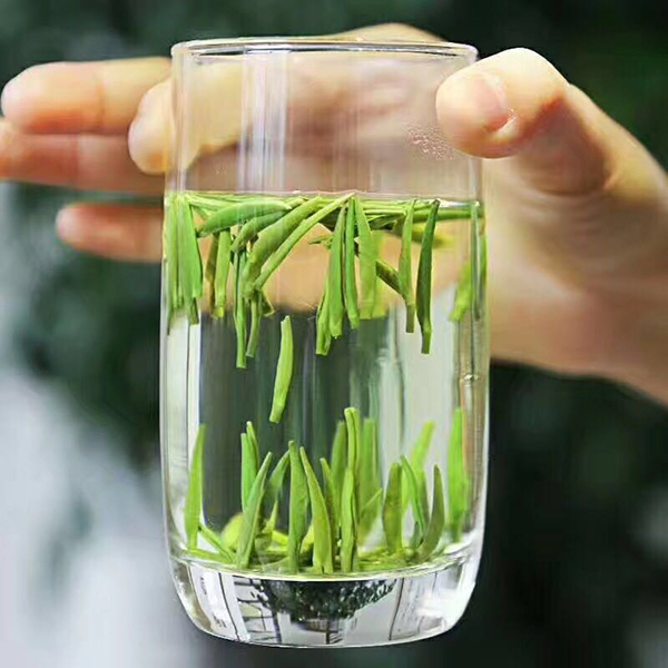 紫阳富硒茶是红茶还是绿茶(紫阳富硒茶是什么茶)-硒宝网