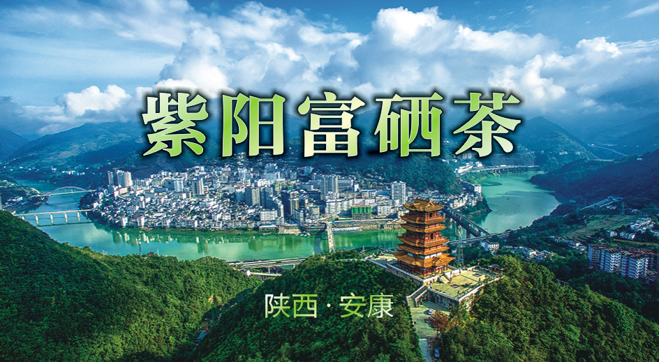 中国真正的富硒茶叶(中国两大富硒茶产地)-硒宝网