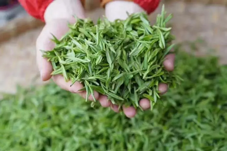 中国真正的富硒茶叶(中国两大富硒茶产地)-硒宝网