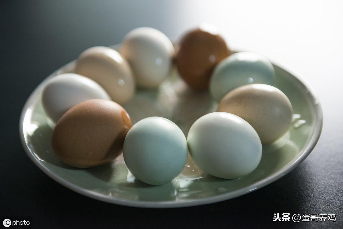 孕妇吃富硒鸡蛋好吗(孕妇鸡蛋吃富硒好吗)-硒宝网