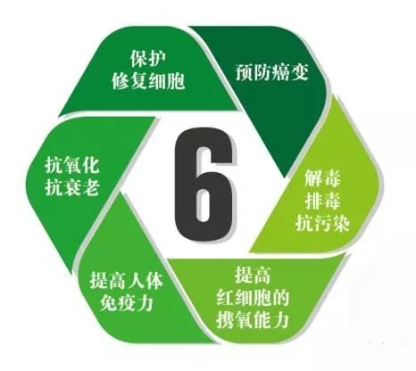 湖南桃源富硒鸡蛋(桃源富硒鸡蛋的价格)-硒宝网