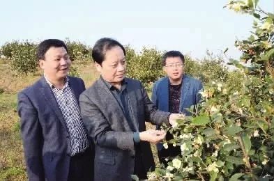 湖南桃源富硒鸡蛋(桃源富硒鸡蛋的价格)-硒宝网