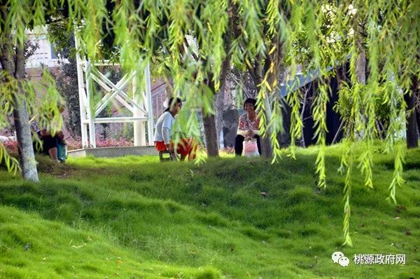湖南桃源富硒鸡蛋(桃源富硒鸡蛋的价格)-硒宝网