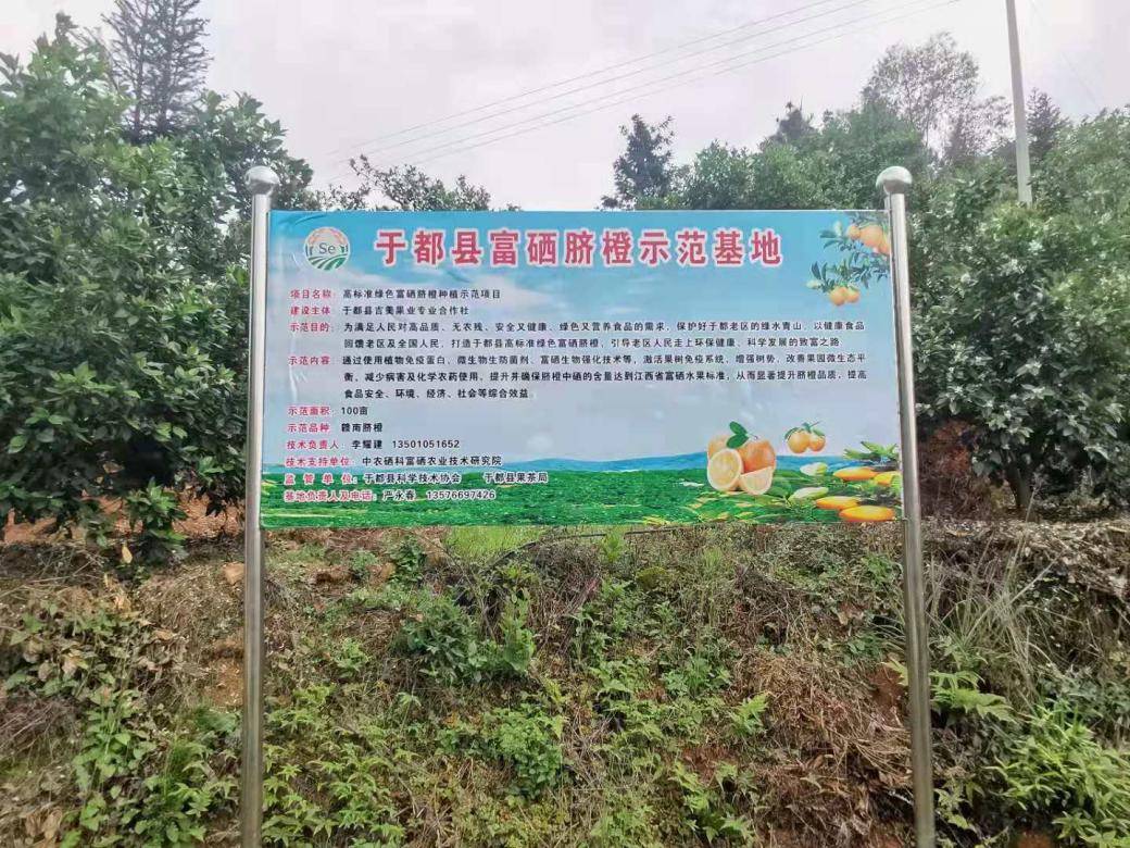 湘华果园富硒鸡蛋(桃源富硒鸡蛋的价格)-硒宝网