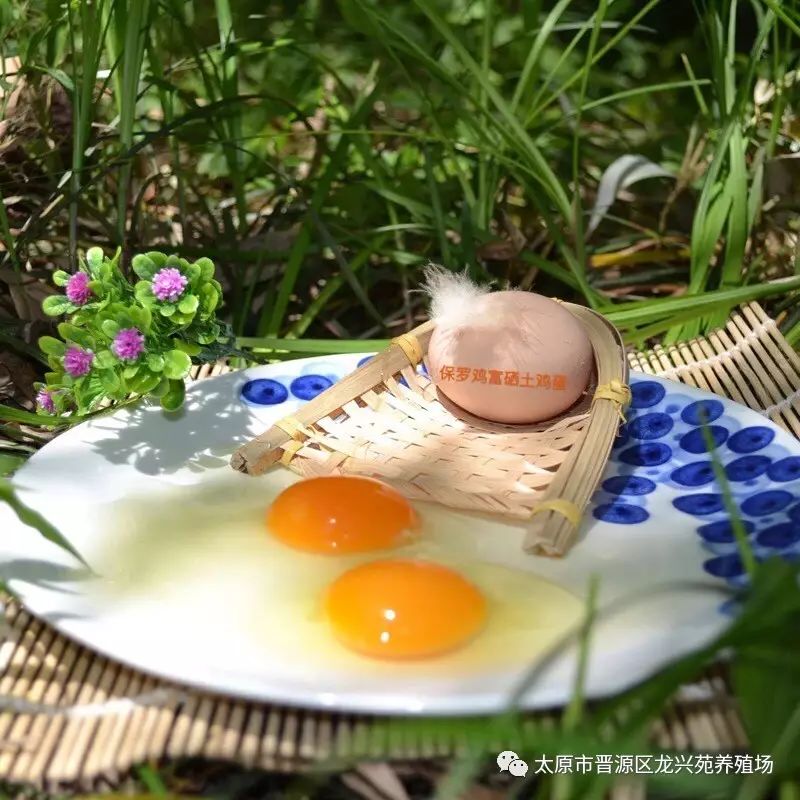 富硒玉米黄鸡蛋(玉米黄鸡蛋和富硒蛋)-硒宝网