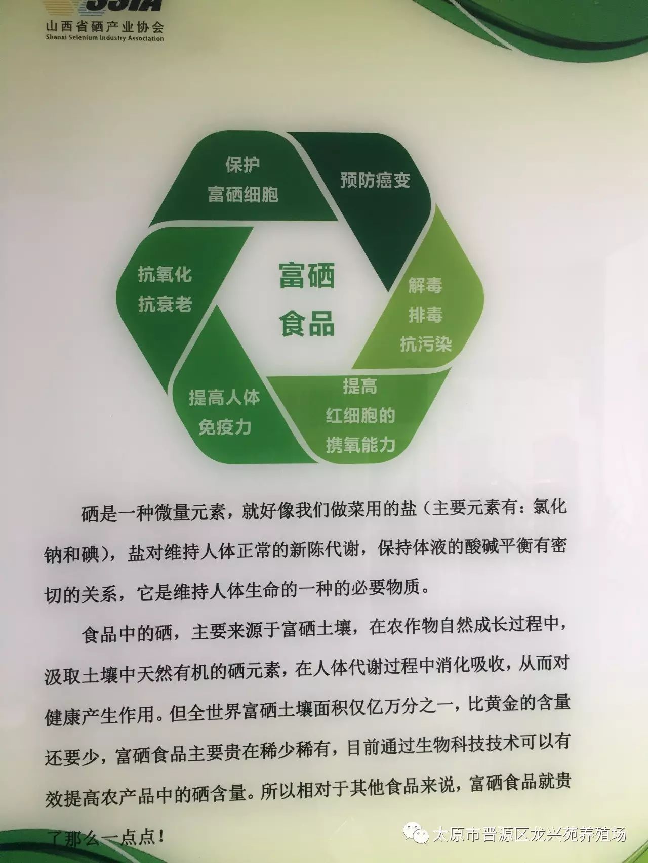 富硒玉米黄鸡蛋(玉米黄鸡蛋和富硒蛋)-硒宝网