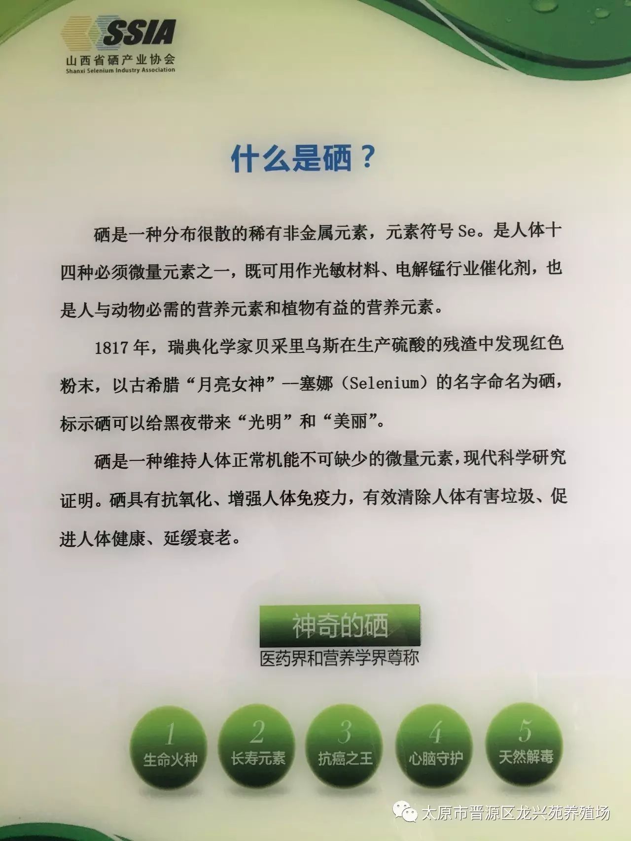富硒玉米黄鸡蛋(玉米黄鸡蛋和富硒蛋)-硒宝网