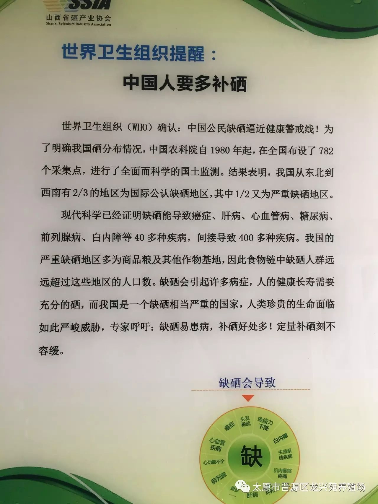 富硒玉米黄鸡蛋(玉米黄鸡蛋和富硒蛋)-硒宝网