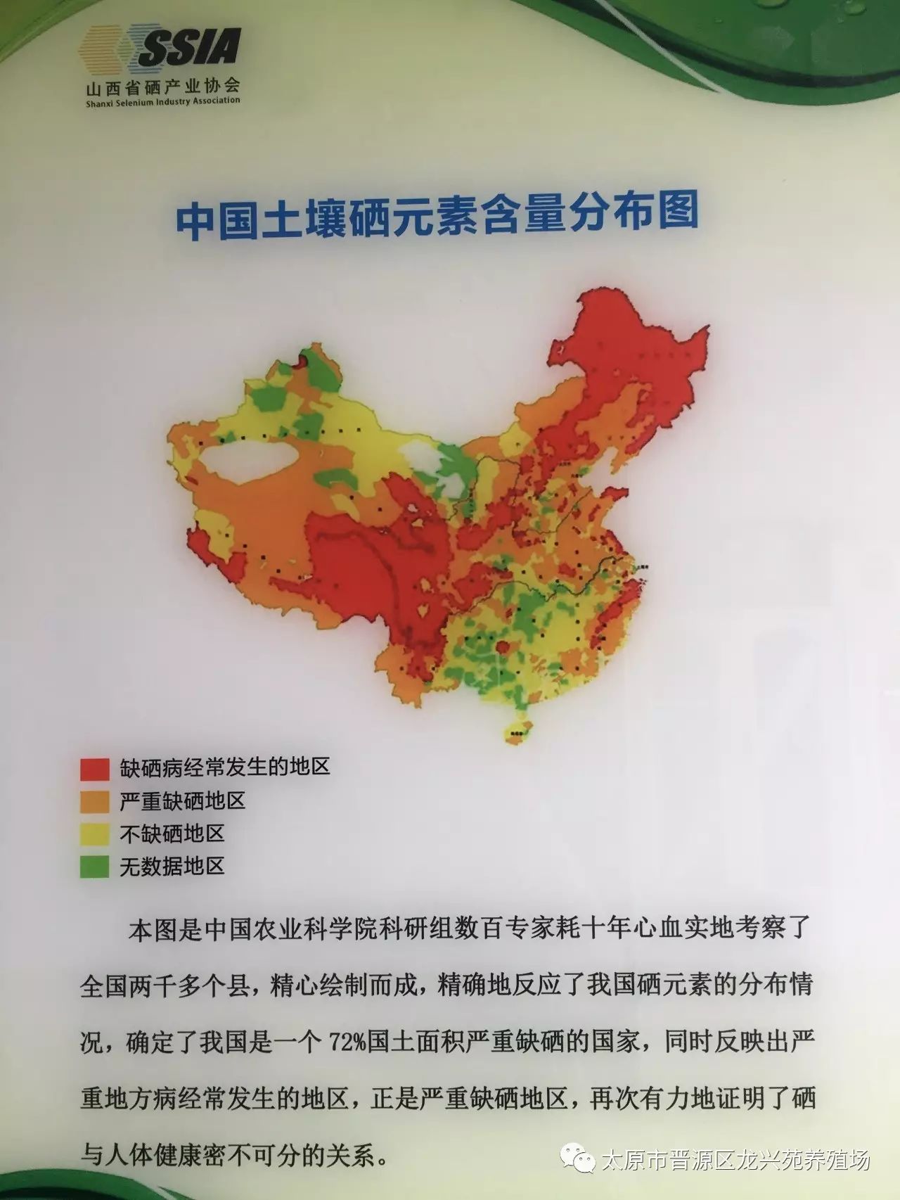 富硒玉米黄鸡蛋(玉米黄鸡蛋和富硒蛋)-硒宝网