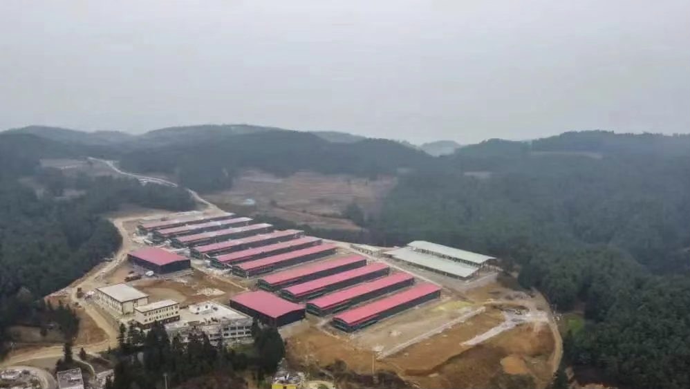 贵州富硒土鸡蛋(土家富硒鸡蛋)-硒宝网