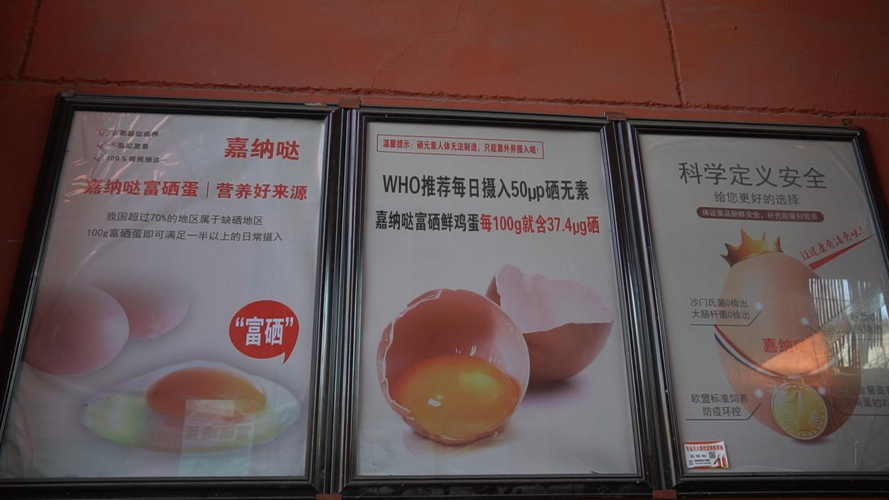 富硒鸡蛋的保养(保养鸡蛋富硒的食物)-硒宝网