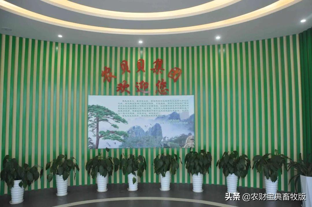 无抗富硒鸡蛋好不好(无抗富硒鸡蛋什么意思)-硒宝网
