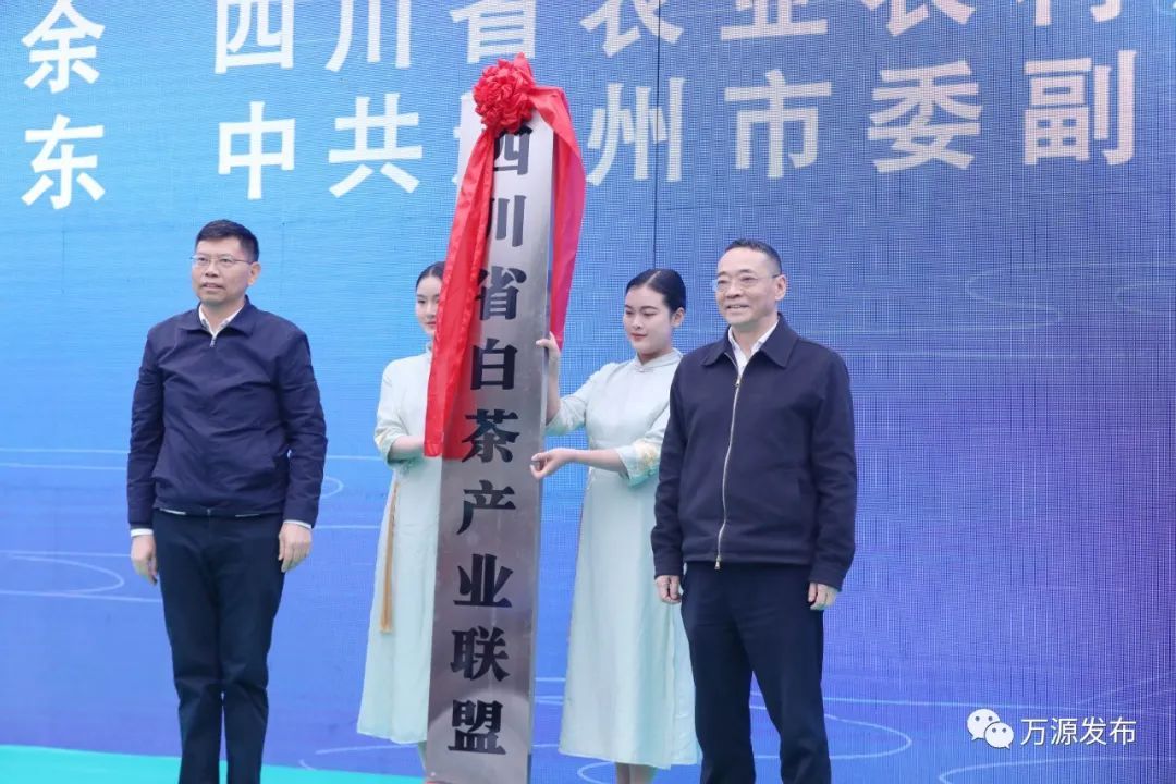 中国富硒茶之都(中国富硒茶哪些地方产)-硒宝网