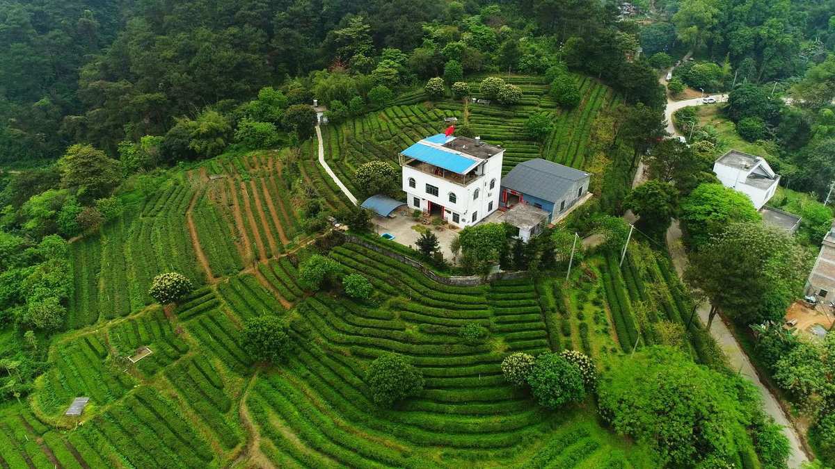 重庆市哪里有卖富硒茶的(重庆富硒小镇)-硒宝网