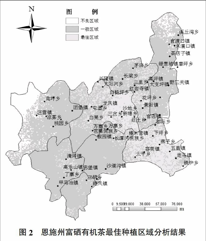 富硒茶茶种植方法(富硒茶生长环境)-硒宝网