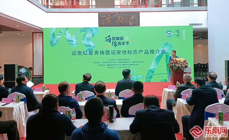 诏安富硒八仙茶属什么茶(诏安八仙茶多少钱一斤)-硒宝网