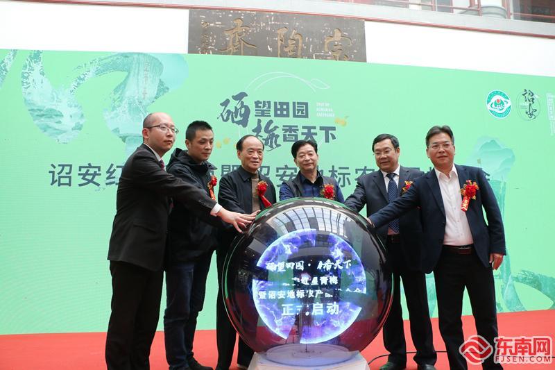 诏安富硒八仙茶属什么茶(诏安八仙茶多少钱一斤)-硒宝网