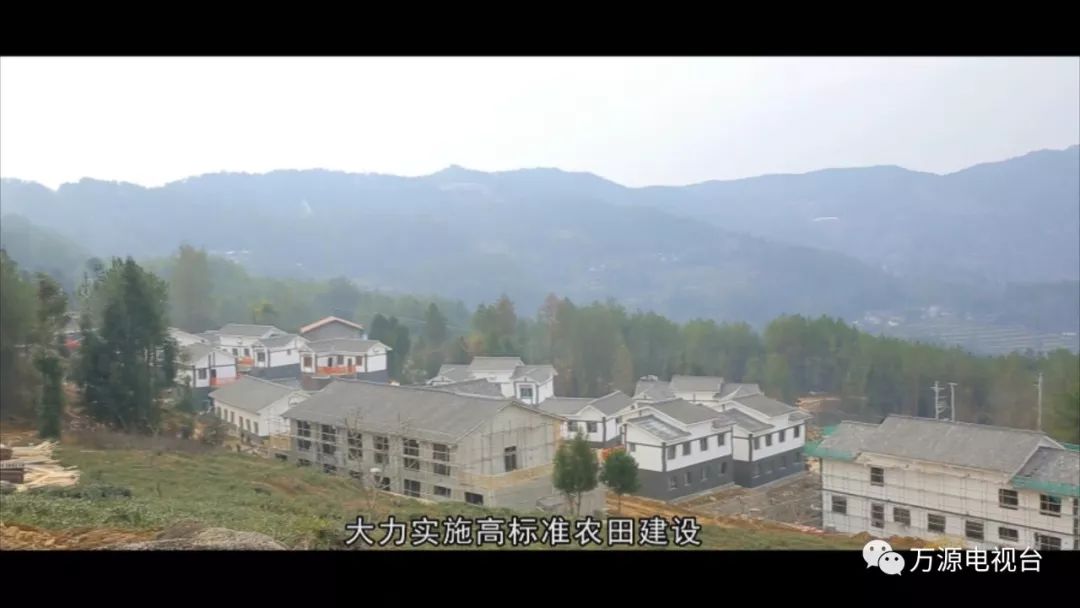 中国富硒茶之都(富硒茶品种)-硒宝网