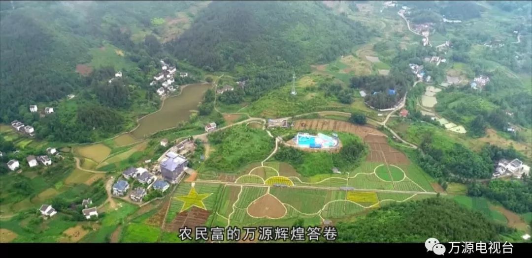 中国富硒茶之都(富硒茶品种)-硒宝网
