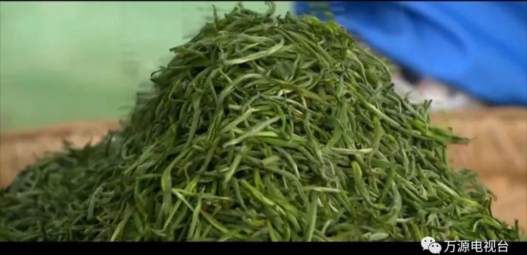 中国富硒茶之都(富硒茶品种)-硒宝网