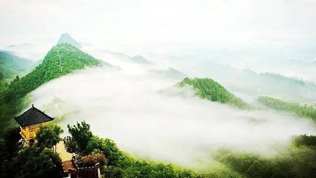 怎么推广贵州锌硒茶叶(投资贵州锌硒茶是传销)-硒宝网