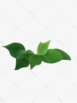 一般茶叶含硒量(茶叶含硒量多少最好)-硒宝网