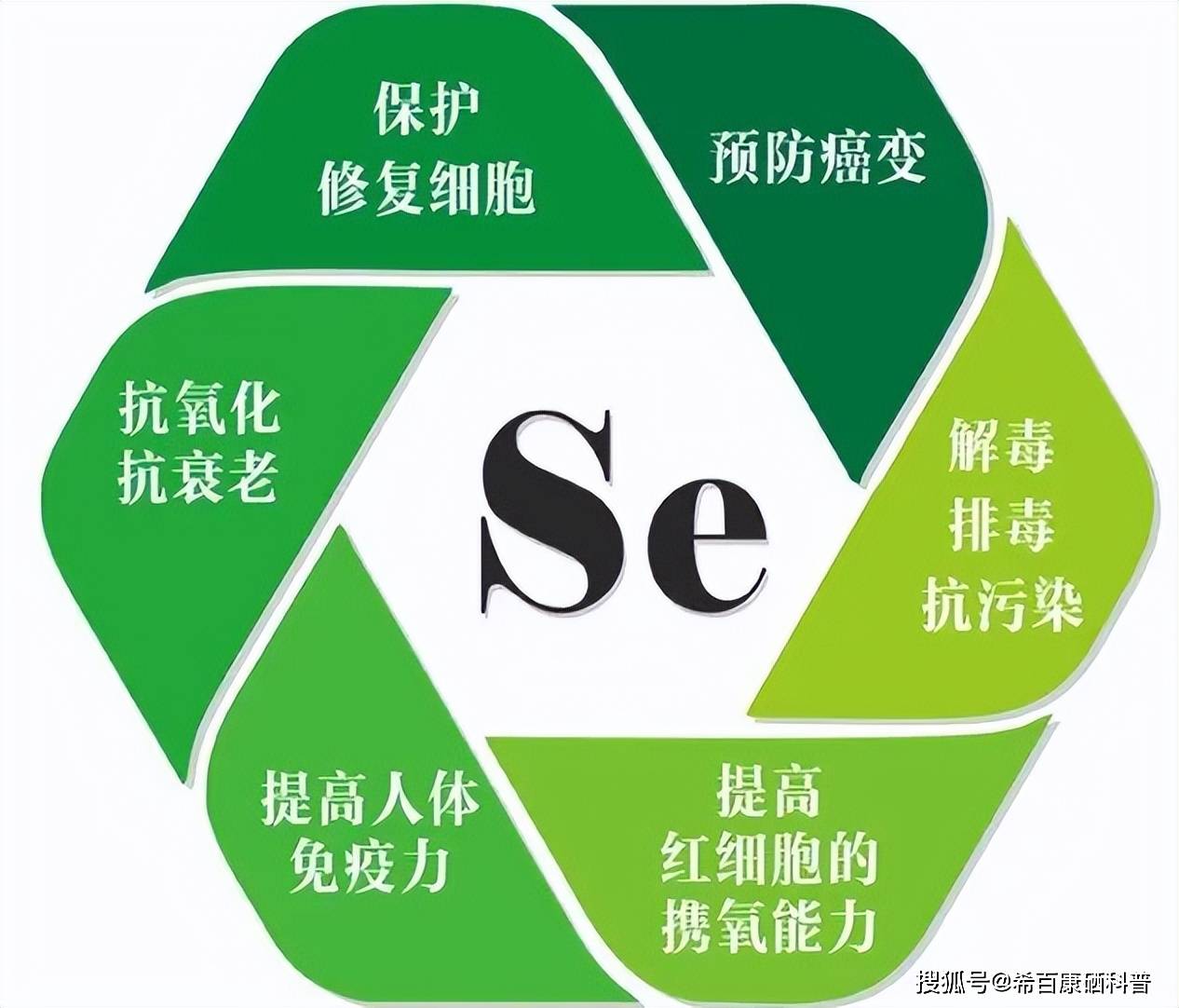 硒的功效与作用(元素硒对人体健康的作用)-硒宝网