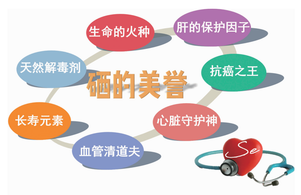关于硒的知识(硒的科普问答资料)-硒宝网