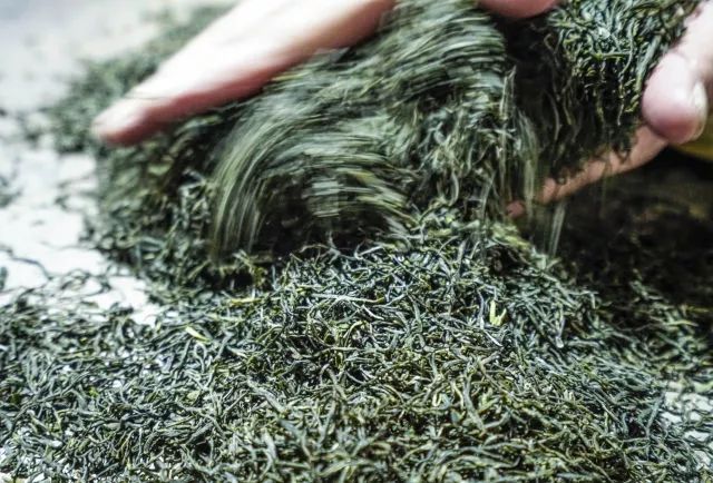 世界硒都恩施玉露茶(恩施富硒茶玉露)-硒宝网