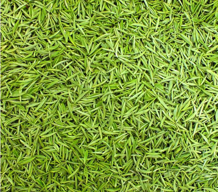 硒茶是啥(茶硒是天然有机物吗)-硒宝网