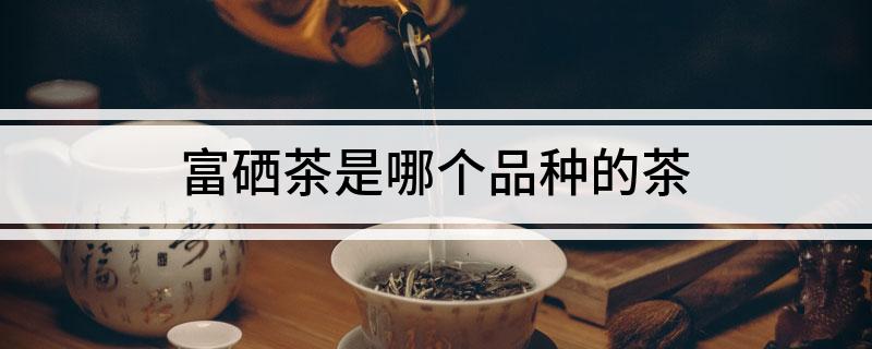 什么叫富硒茶叶(富硒茶属于绿茶吗)-硒宝网