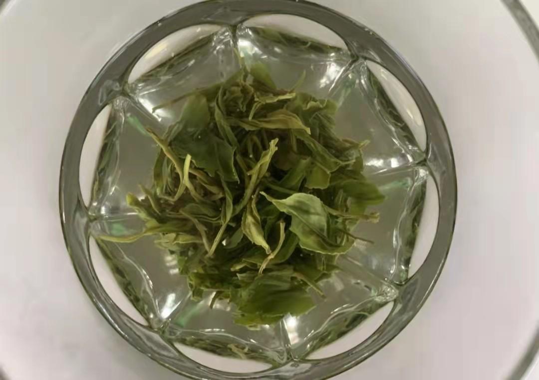 施恩富硒茶(施恩富硒茶有什么功效)-硒宝网