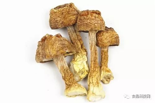 哪些食物含硒量高(硒含量多的食物)-硒宝网