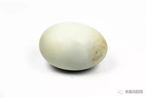 哪些食物含硒量高(硒含量多的食物)-硒宝网