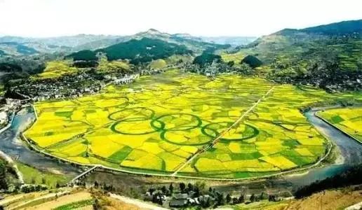 中国含富硒三大地方(中国富硒地带)-硒宝网