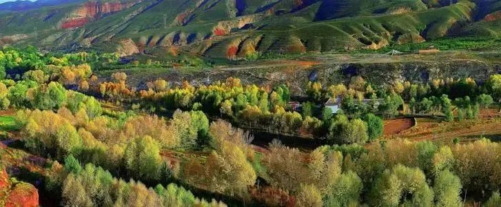 中国含富硒三大地方(中国富硒地带)-硒宝网