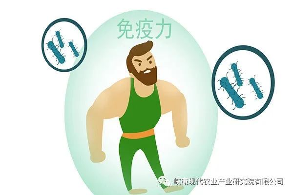 富硒鸡蛋是真的吗(富硒鸡蛋含硒吗)-硒宝网