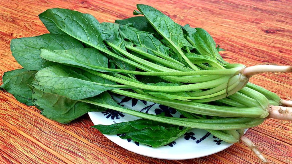 含硒高的食物排名:探索营养之王(含硒高的前十名食物)-硒宝网