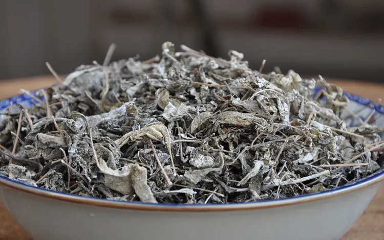 莓茶哪些人不适合喝(莓茶的禁忌人群)-硒宝网