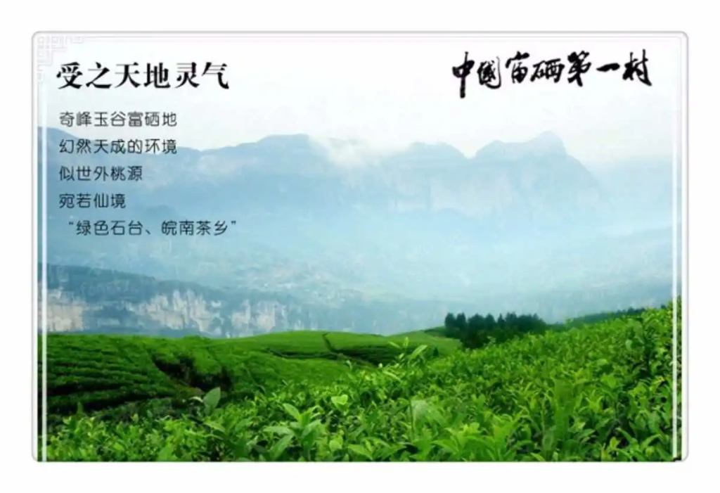 中国富硒茶之都是哪里(富硒茶哪里产的最好)-硒宝网