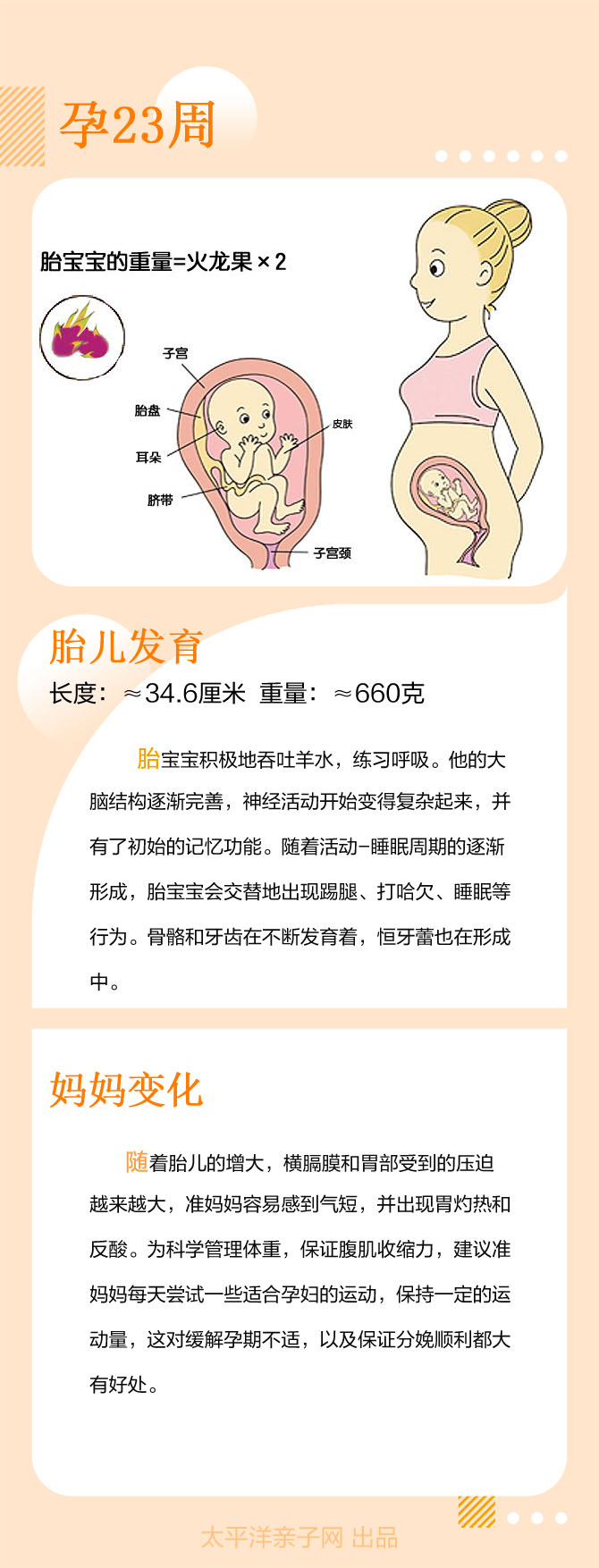 孕妇如何补硒效果最好(孕妇缺硒吃什么)-硒宝网