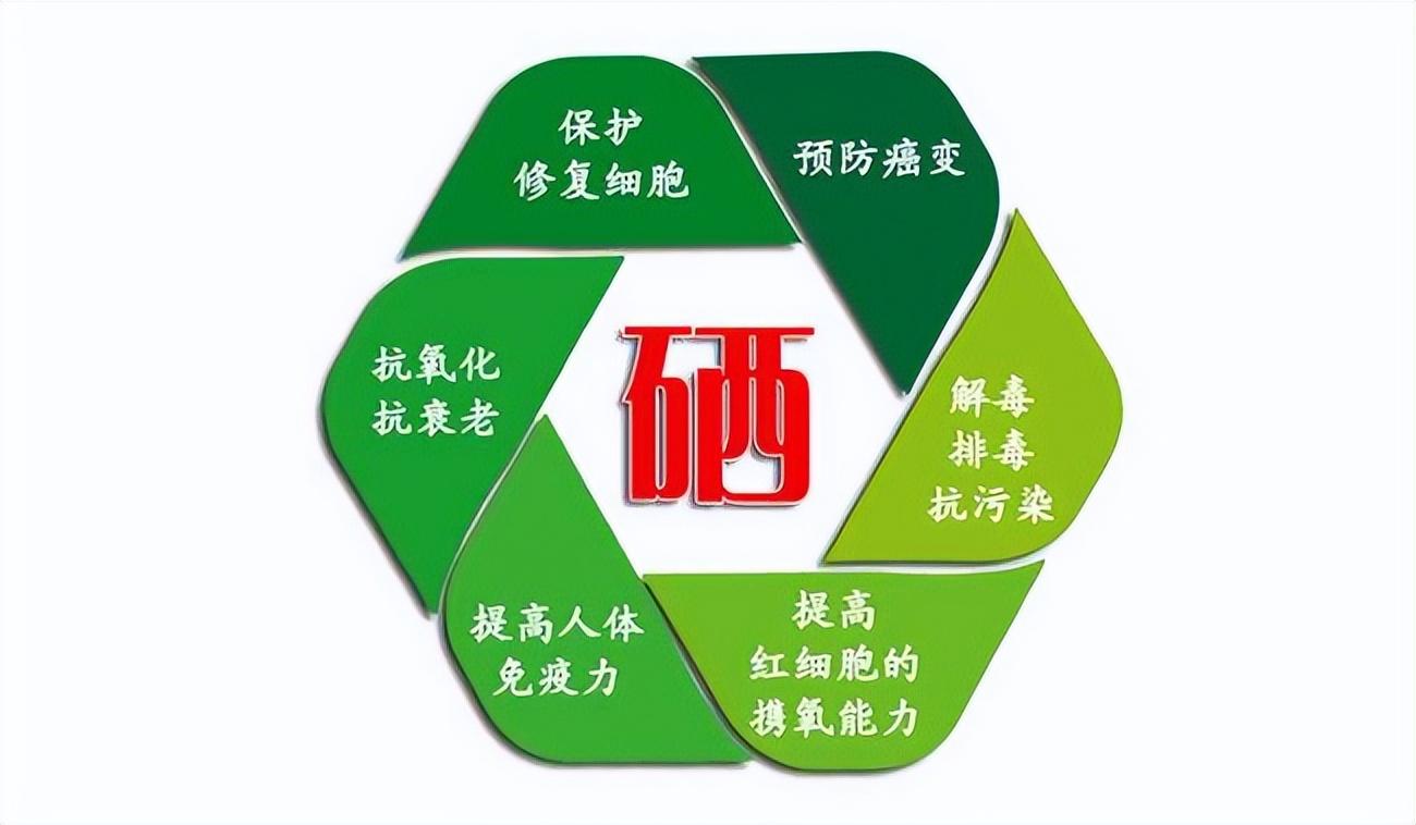 硒在人体中起什么作用(硒在人体中三大作用机理是什么)-硒宝网
