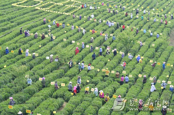 恩施富硒地具体在哪里(恩施具体富硒地方有哪些)-硒宝网