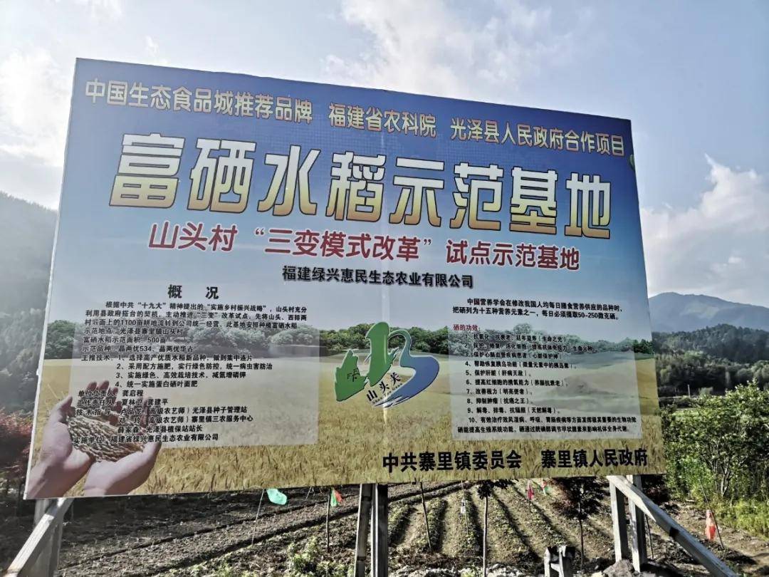 国家为什么发展富硒产业(富硒产业发展规划)-硒宝网