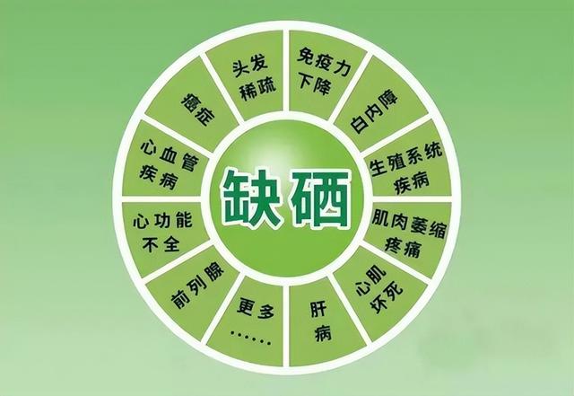 富硒食品对人体有什么好处(富硒食品的作用和功效)-硒宝网