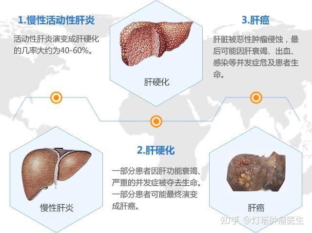 含硒多的食品(食品含硒标准)-硒宝网