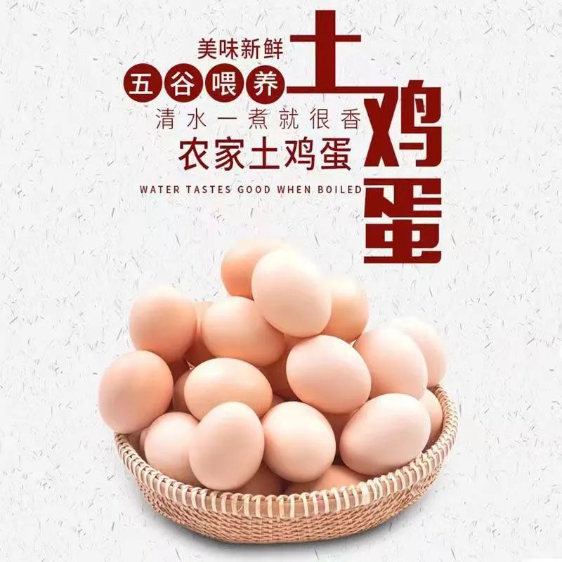 富硒鸡蛋和普通鸡蛋有什么区别(比土鸡蛋营养价值和功效哪个更好)-硒宝网