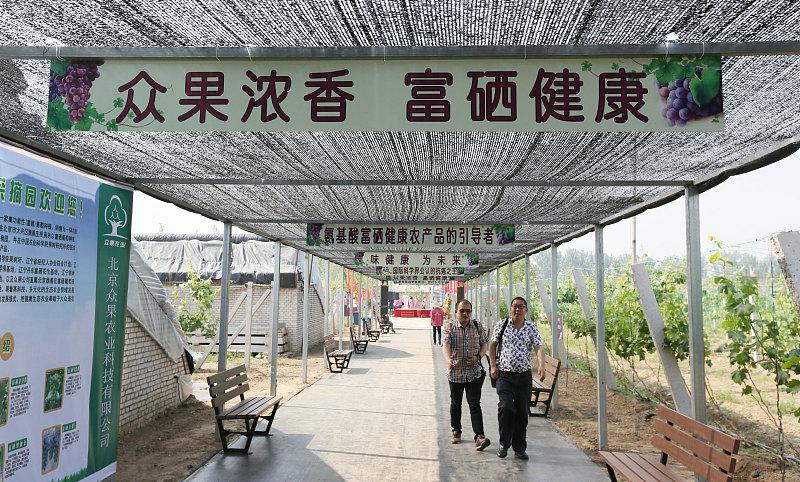 富硒产品是真的吗(真有这么神奇么)-硒宝网