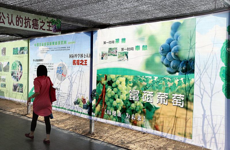 富硒产品是真的吗(真有这么神奇么)-硒宝网